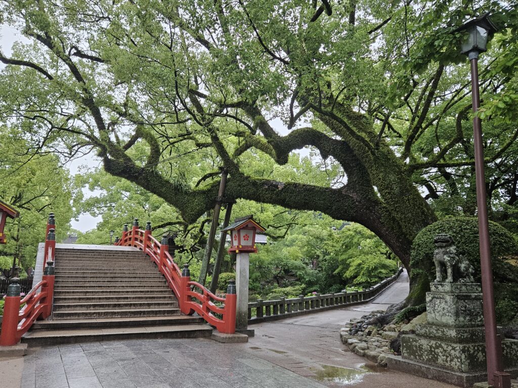 太宰府天満宮の太鼓橋