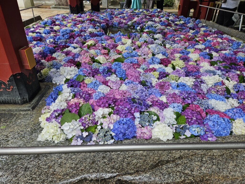 太宰府天満宮の花手水(紫陽花)