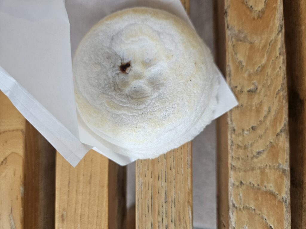 寺田屋の梅ヶ枝餅②