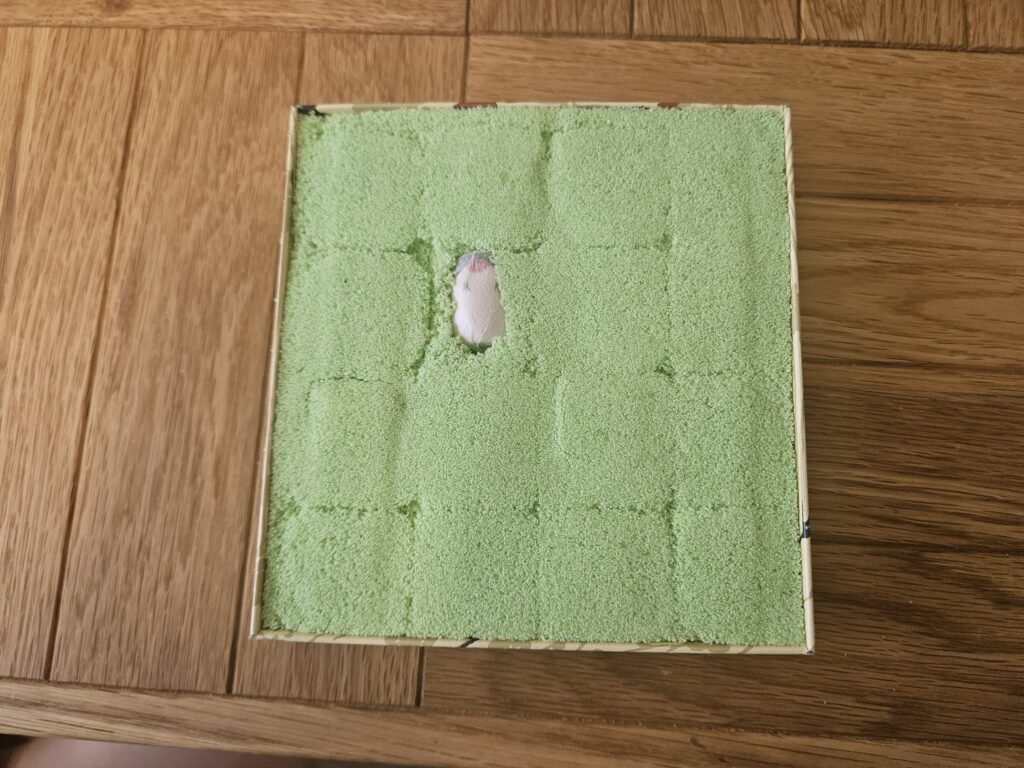 うその餅を開けたところ