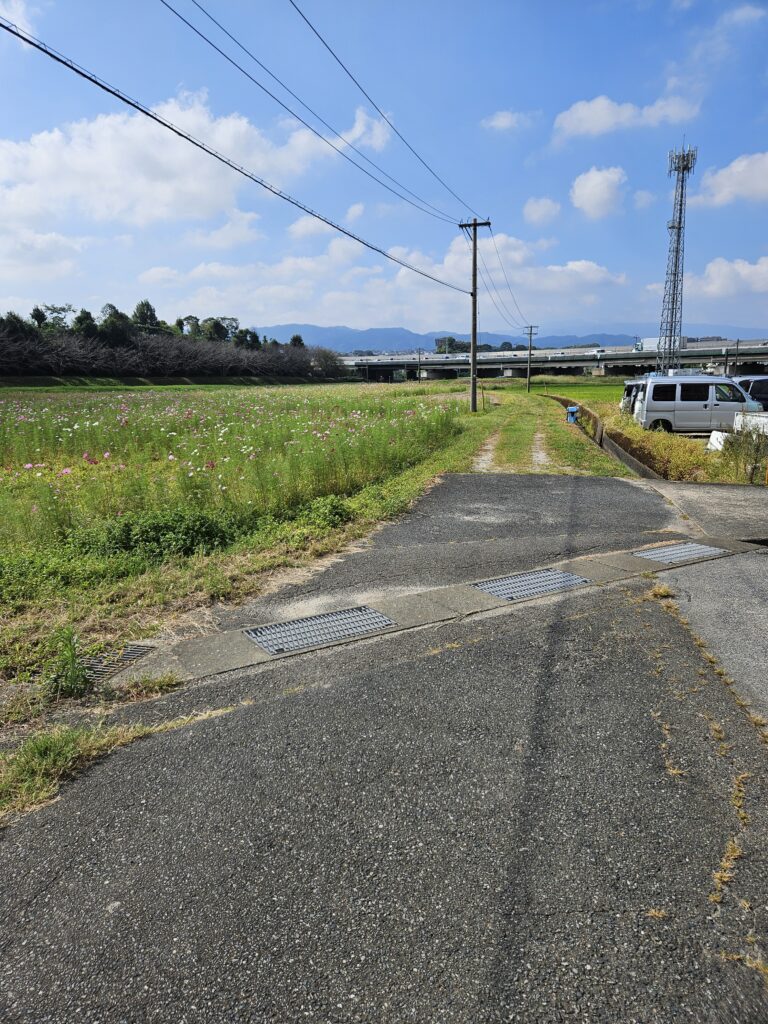 水城跡のコスモスへの小道