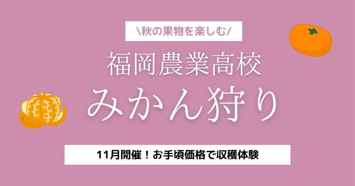 みかん狩り