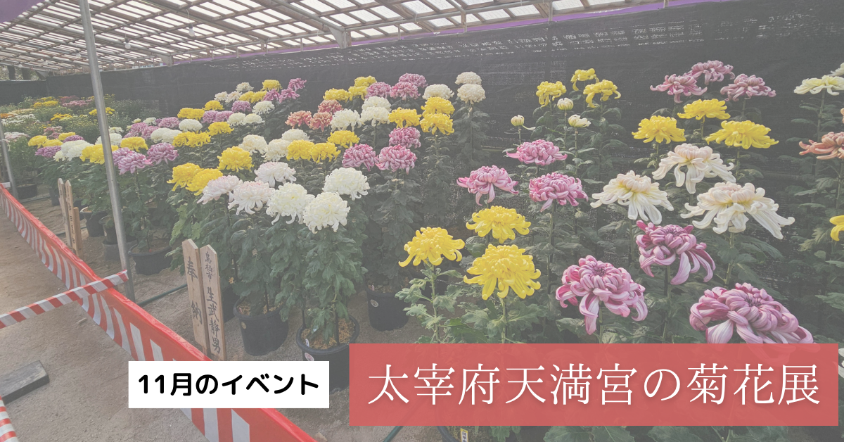 太宰府天満宮　菊花展