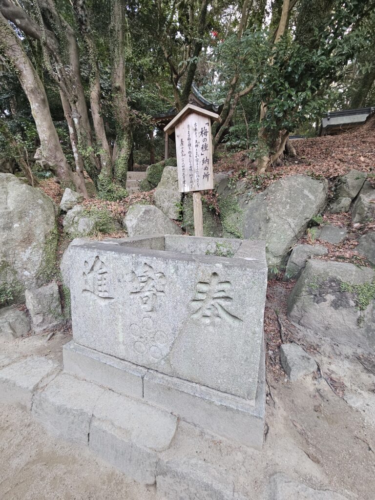 太宰府天満宮の梅の種納め所