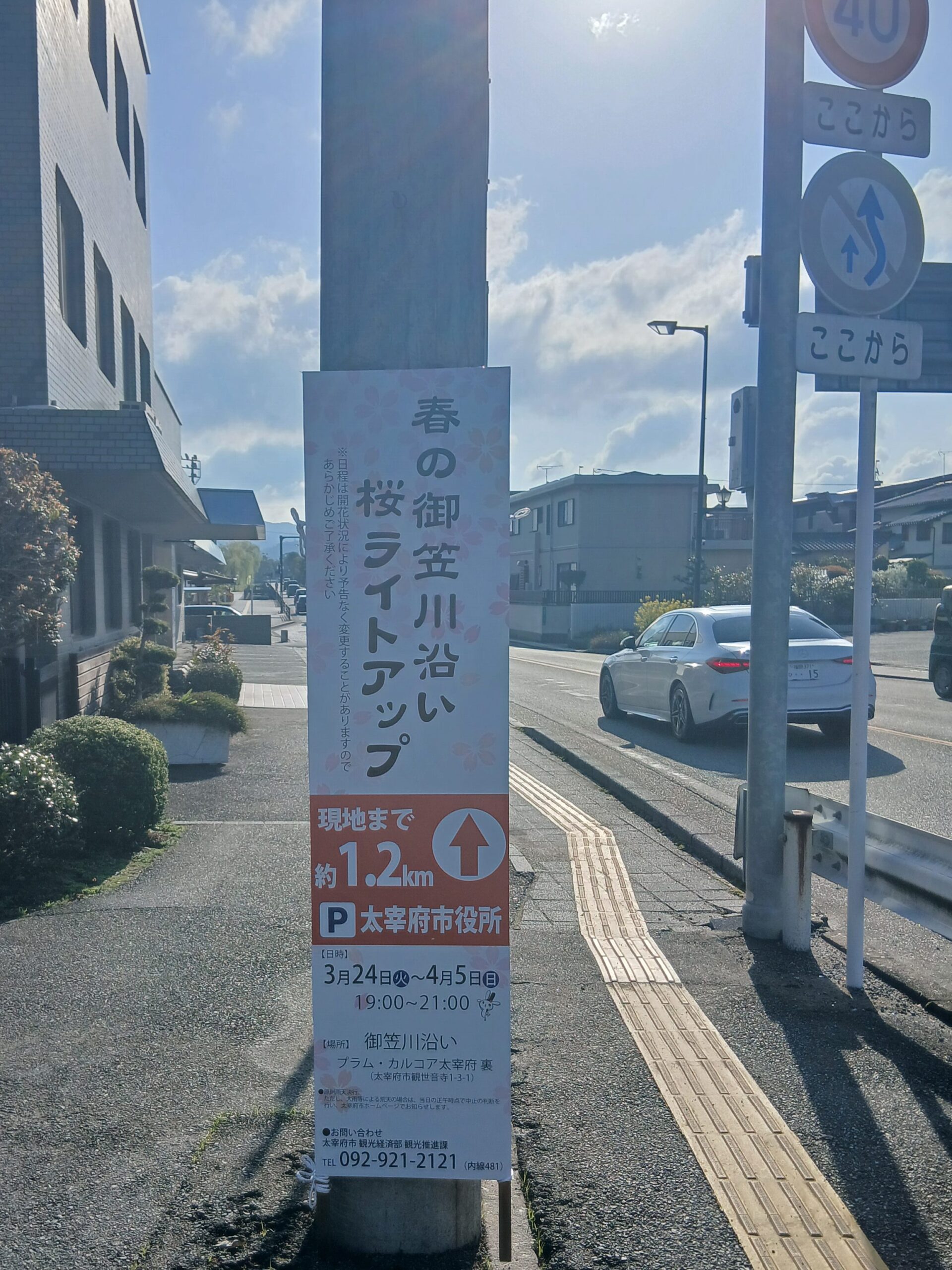 御笠川の桜ライトアップ情報