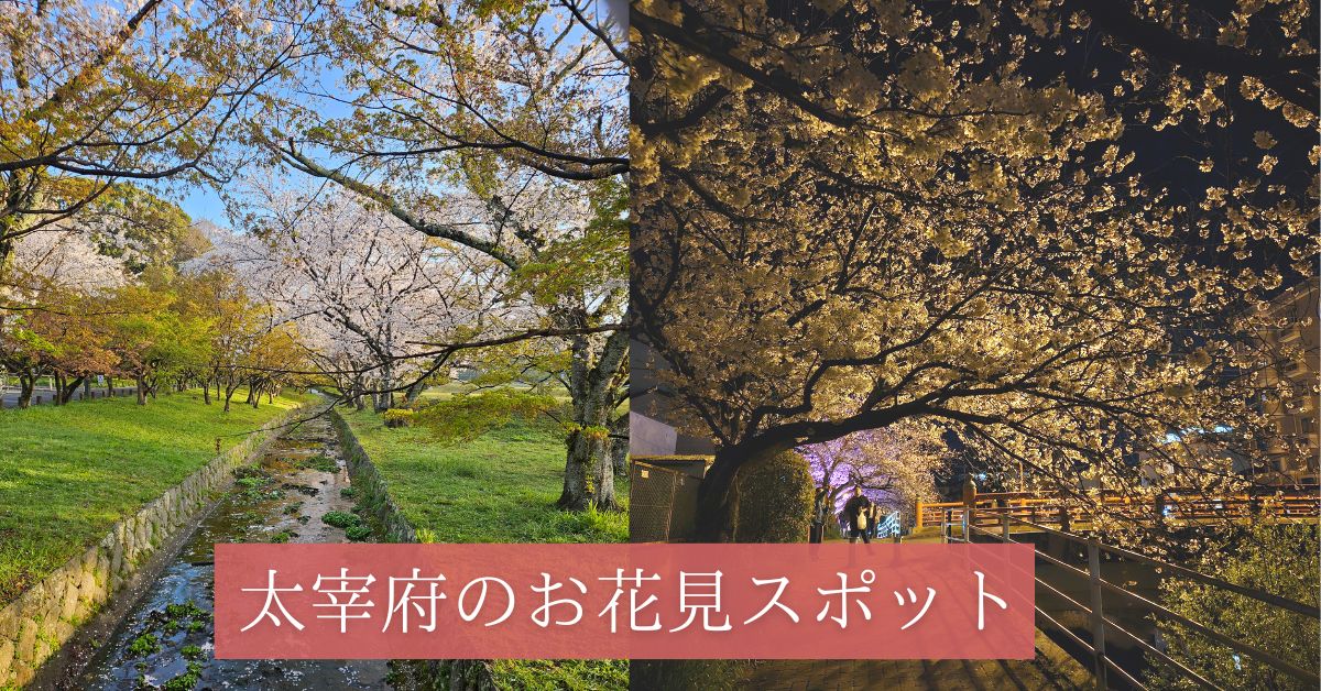 太宰府のお花見スポット