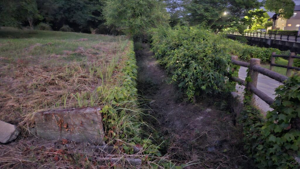 2026年5月25日、大宰府政庁跡近くの遊歩道の草むらのホタル。夜景モードで撮ったが、ほとんど映っていない